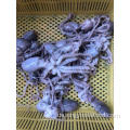 Octopus langes Bein 20-50g